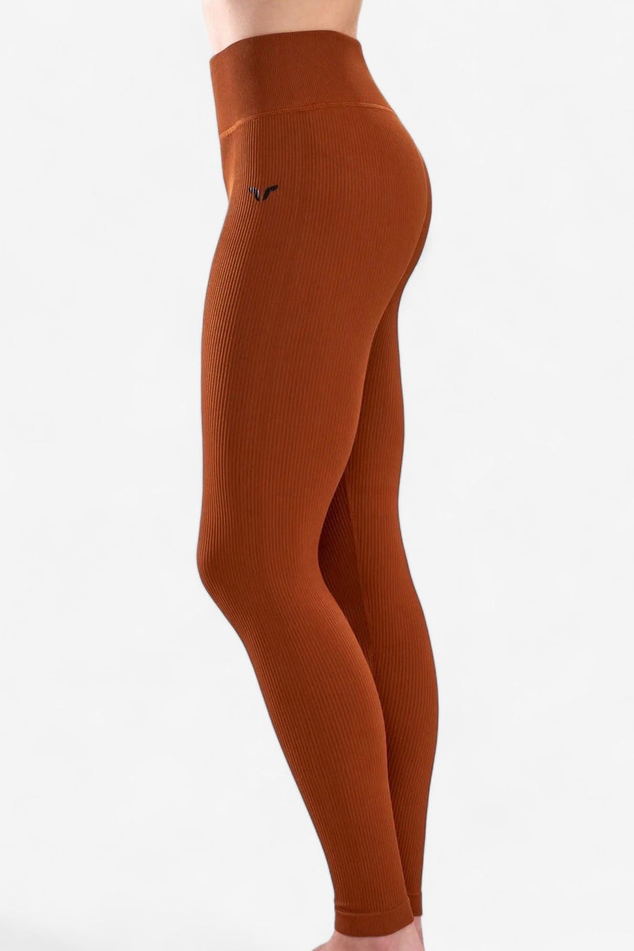 Waist-Cinching Ribbed Leggings in Spiced Terracotta