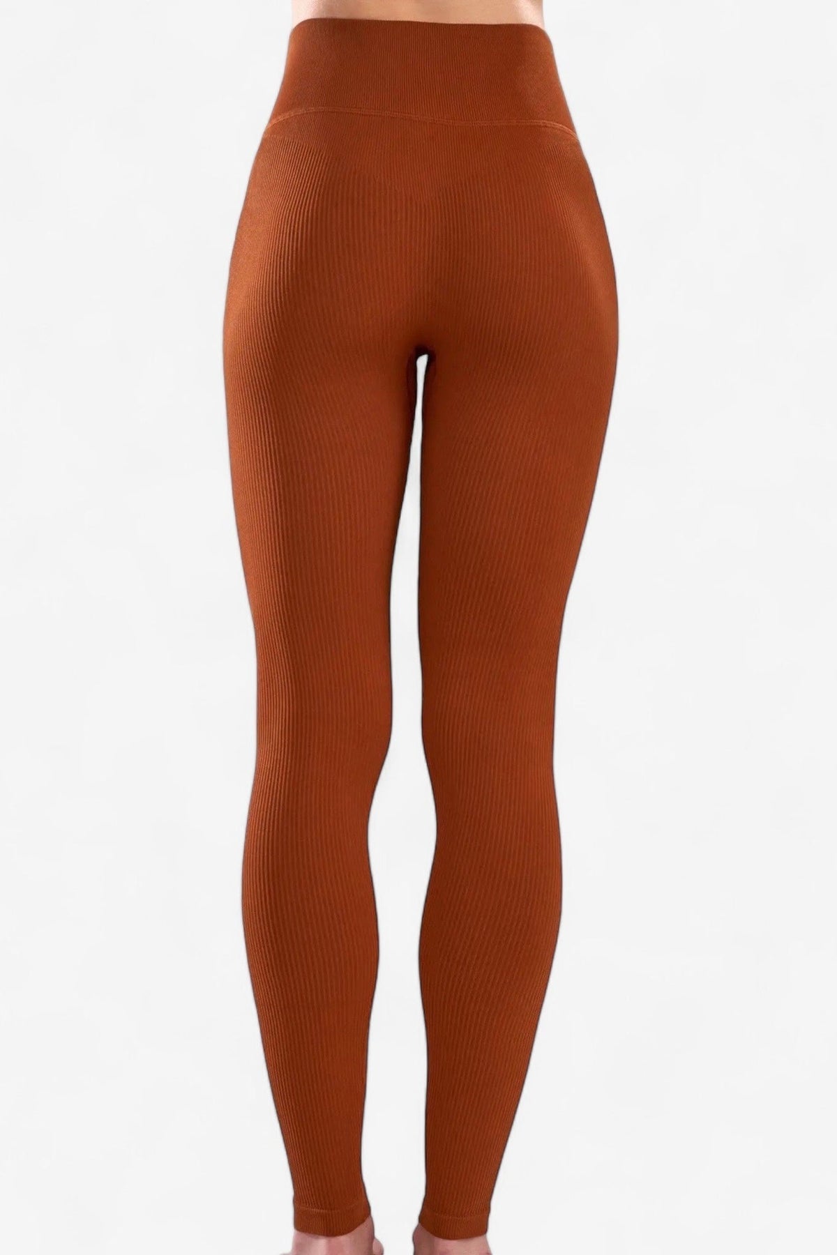 Waist-Cinching Ribbed Leggings in Spiced Terracotta, enlarged view 2
